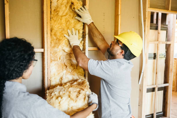 Best Insulation Removal  in Connellsville, PA