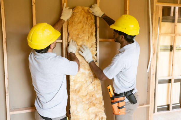 Best Home Insulation Services  in Connellsville, PA